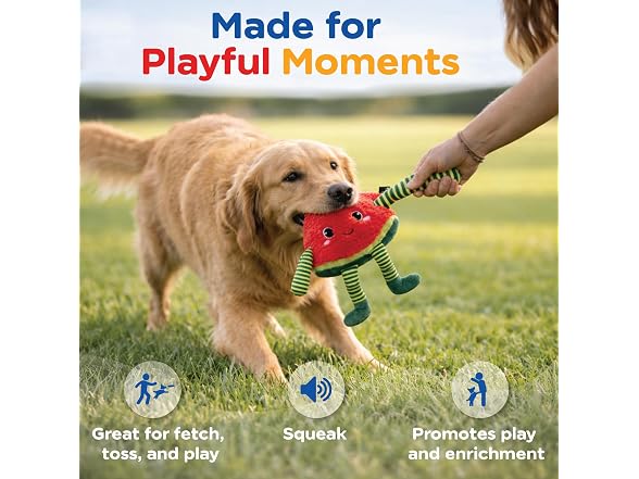 Bow Wow Pet Squeaky Plush Dog Toy with Crinkle, Watermelon