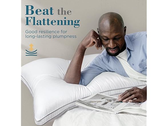 viewstar Bed Pillows Set of 2