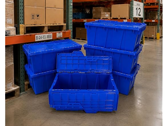 UBMOVE UBMOVE Storage Bin With Lids, Blue