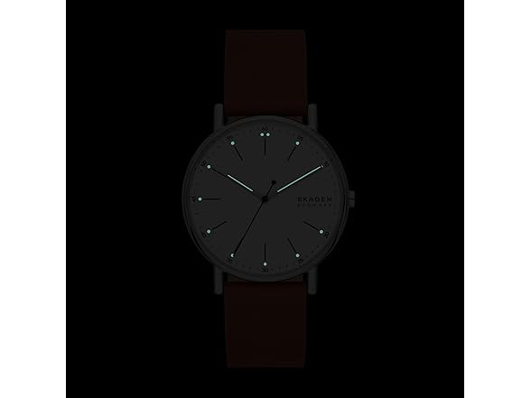 Skagen Mens Signatur Three Hand Watch