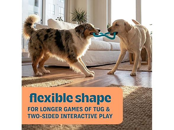 Pupstages Flex-Force Tug Dog Toy for Fetch & Tug