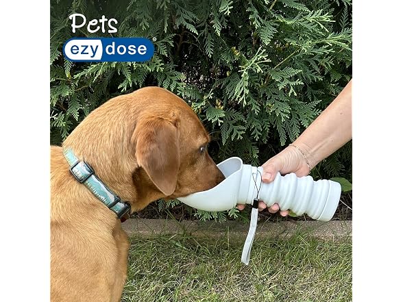 Ezy Dose Collapsible Pet Water Bottle