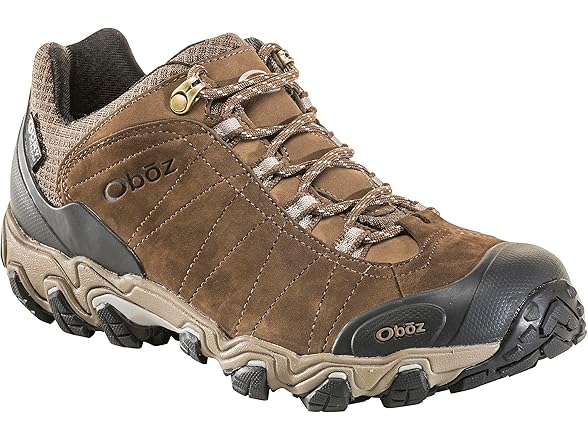 Oboz Men's Bridger Low B-DRY Hiking Shoe