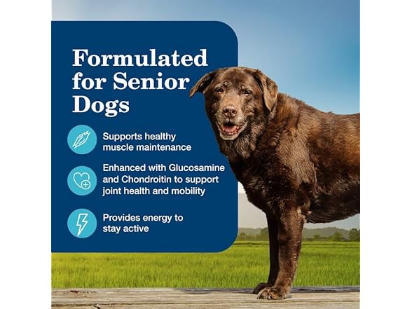 6ct Blue Buffalo Homestyle Beef Dinner Senior Dog Food