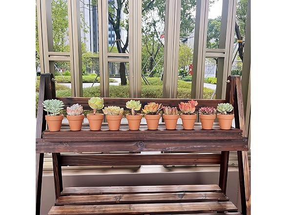 homeemoh GAR-58 10 Pack 2in Terracotta Pots Mini