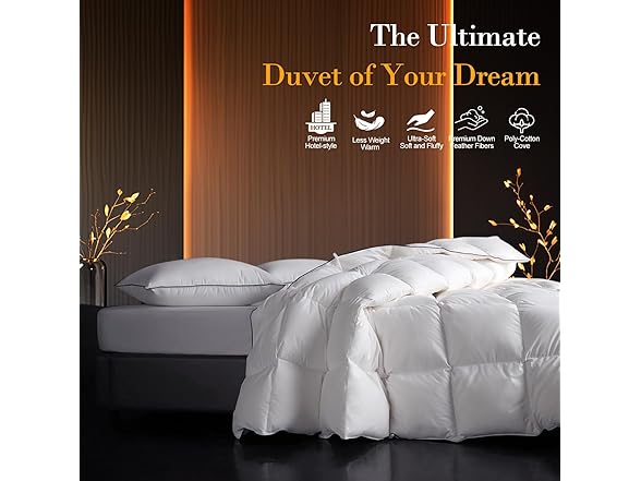 ITSNGBYDown Fibers Comforter