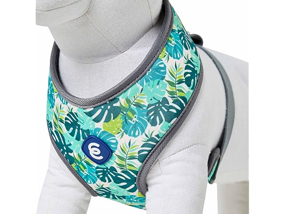 Blueberry Pet Essentials Soft & Comfy Bahama