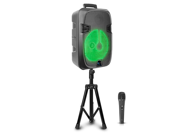 12” Rechargeable Speaker Package