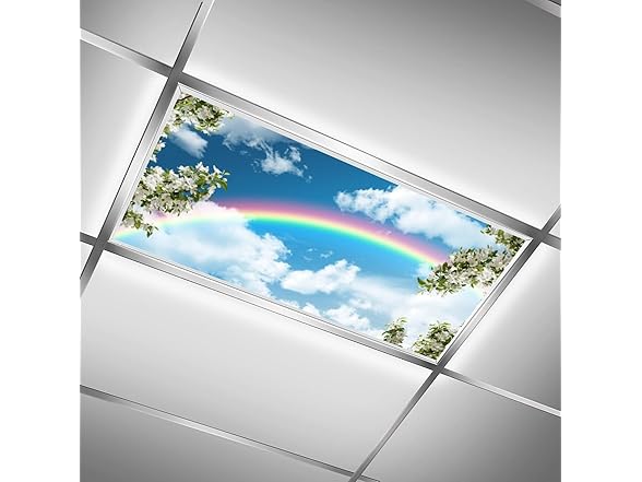 Fluorescent Light Covers 4x2ft 2Pcs