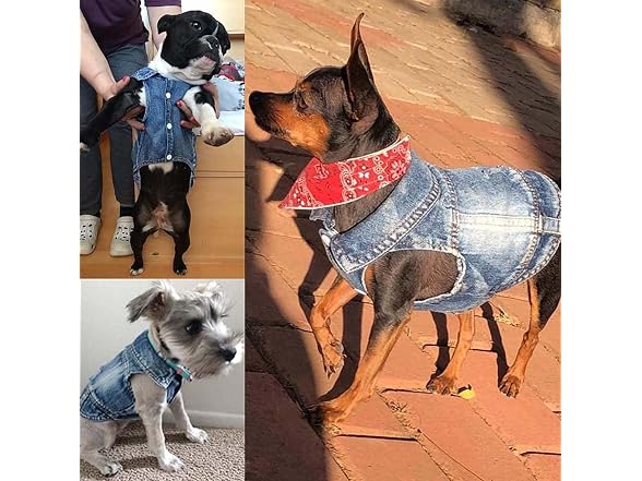 Jean Jacket for Dogs Blue Lapel Vest Coat Co