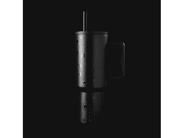 Simple Modern Halloween 40 oz Tumbler with Handle and Straw Lid | Black Cats