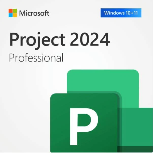 Microsoft Project Professional 2024 - Gallery 2