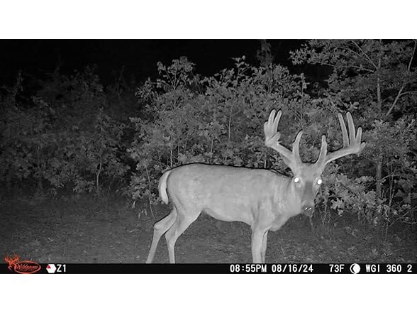 (NEW) Wildgame Orbit 360 Degree Cellular Trail Camera