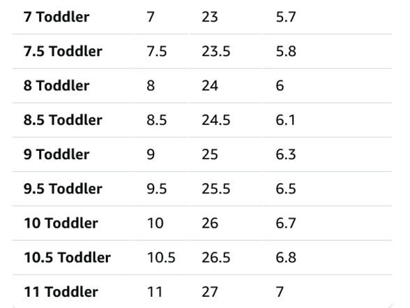 Converse Kids' Chuck Taylor All Star Easy-On Low Top Sneaker