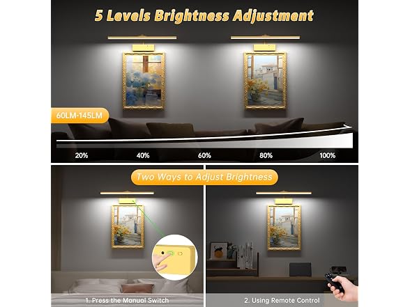 Lightbiz Picture Light 20in Gold