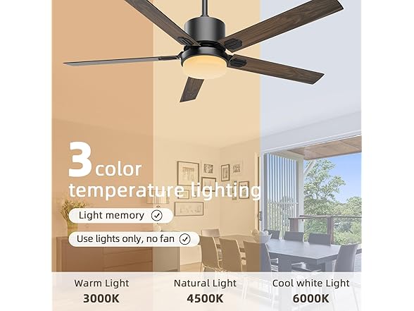 Sky sea Ceiling Fan with Light, Black, 52 inch