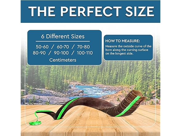 YOMTOV-SHALOM | Kudu Shofar 