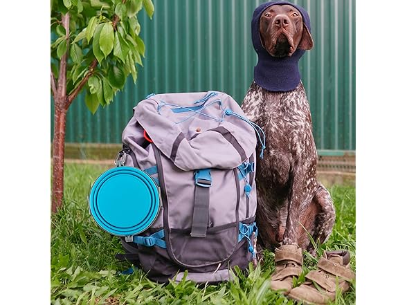 Loving Pets Bella Roma Collapsible Dog Bowls