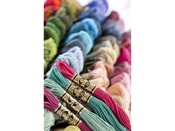 Dmc 6-Strand Embroidery Cotton 8.7yd-Light Brown
