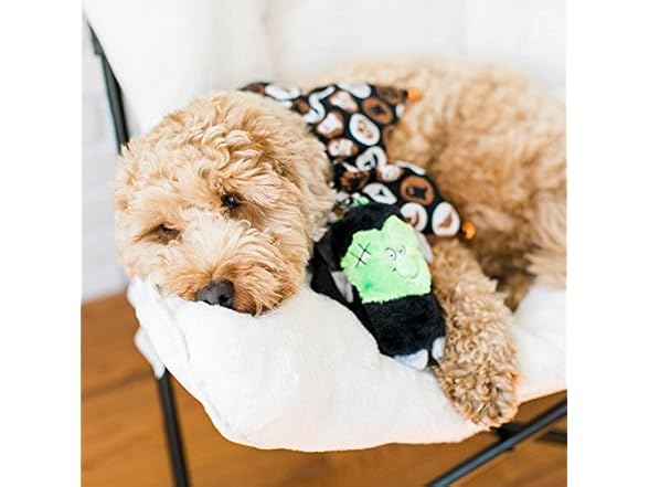 ZippyPaws Squeakie Buddies