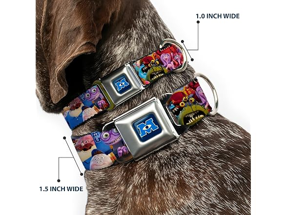 Buckle-Down Dog Collar Seatbelt Buckle Monsters Univerisity