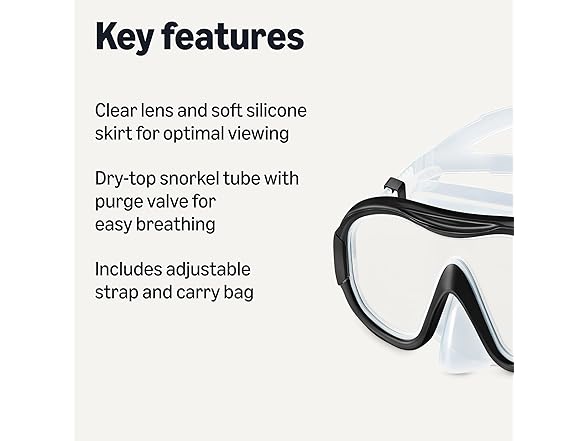 Amazon Basics Snorkel mask with Carry Bag