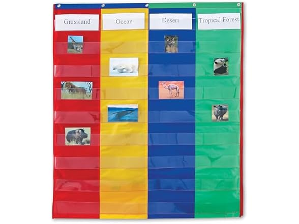 Learning Resources Double-sided Pocket Chart