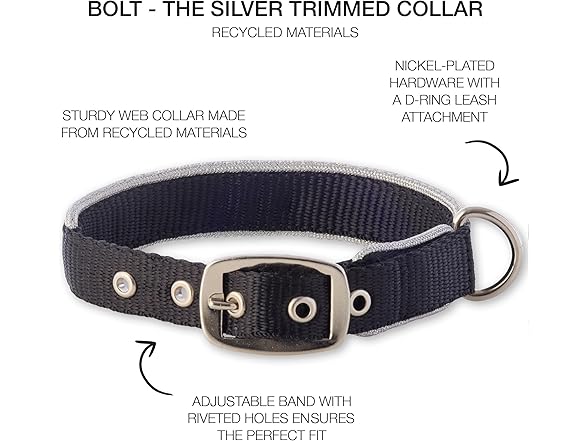 Pet Passion Silver Trimmed Dog Collar