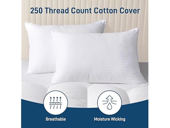 Ankwos Hypoallergenic Side Sleeper Pillow