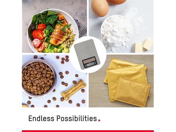 Taylor Light Powered Digital Kitchen Scale
