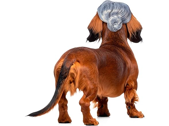 Rubies Old Lady Pet Wig, M/L