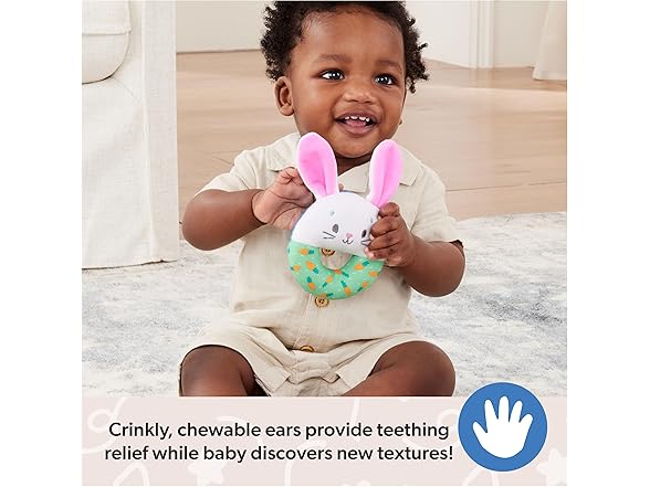 Ms. Rachel Little Bunnies Sensory Ring