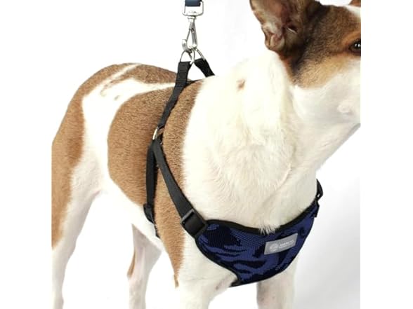 AKC Step-in Camo Dog Harness – No Pull
