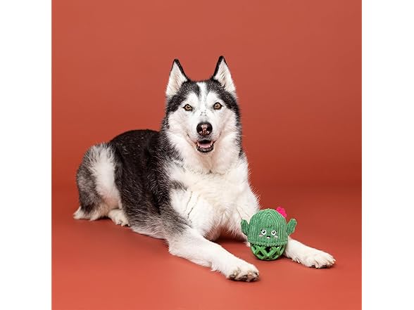 Fringe Studio Rubber Dog Toy, Prickly