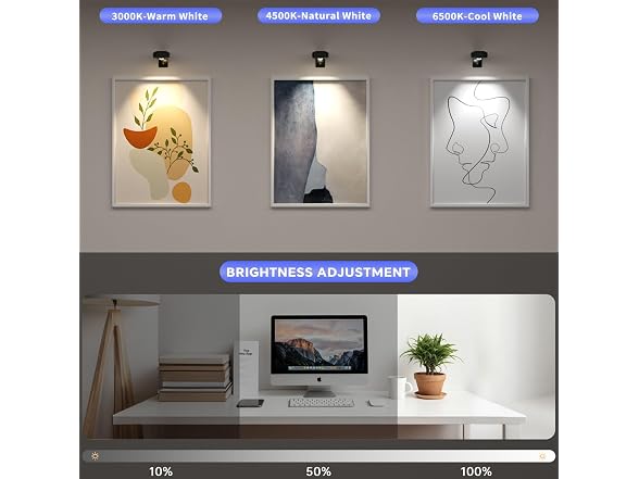 Lightbiz Picture Light Black 3 Pcs