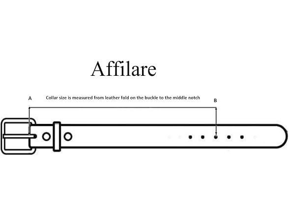 Affilare Leather Dog Collar Western Style He