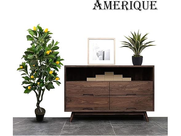 AMERIQUE Lemon Tree 4ft Pair