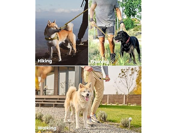 OutdoorMaster Bungee Dog Leash