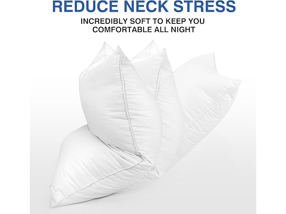 zibroges Feather Pillows Queen Set of 2