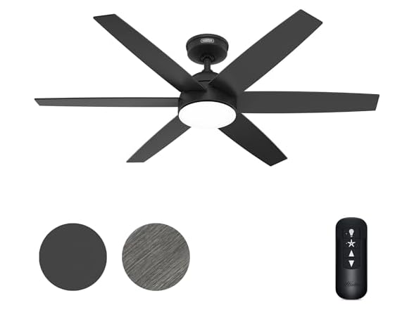 Hunter Fan 52 inch Black Indoor Ceiling Fan w/ Light