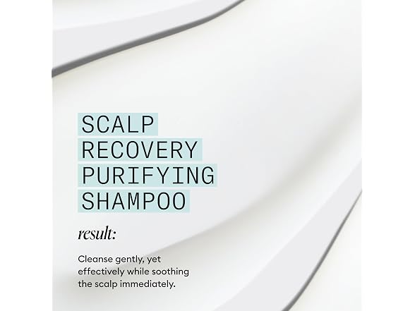 Nioxin Scalp Recovery System Purifying Shampoo