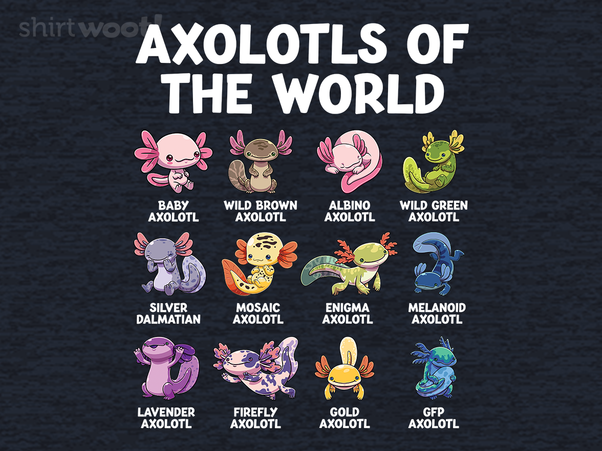 World Axolotls - Gallery 4