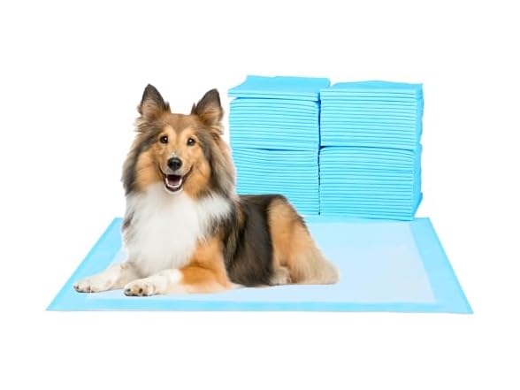 Waterproof Pet Training Pad 50PCS