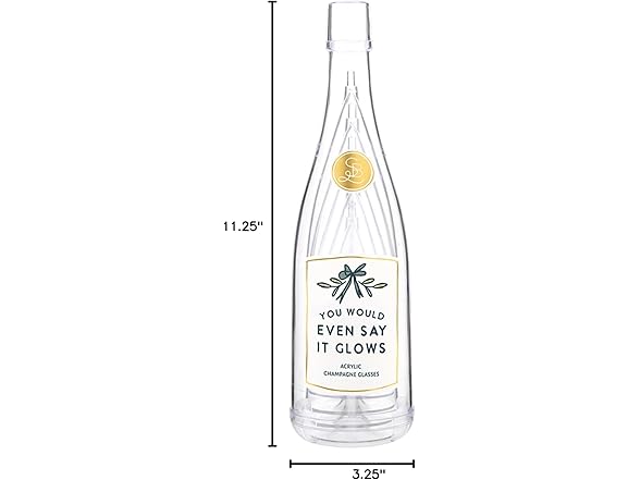 Santa Barbara Design Studio Acrylic Champagne Bottle with 5 Glasses