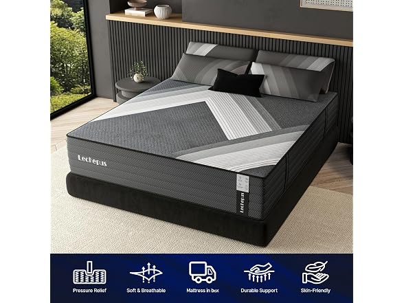 Lechepus 10Inch Queen Mattress in Box