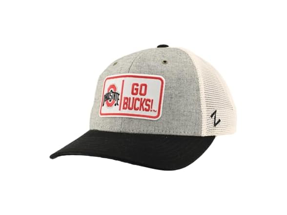 ZHATS Ohio St Dylan Snapback Hat