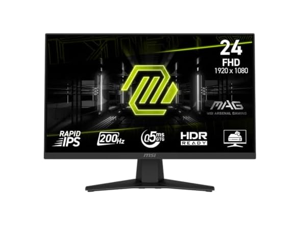 MSI 24" FHD Monitor | MAG 244F