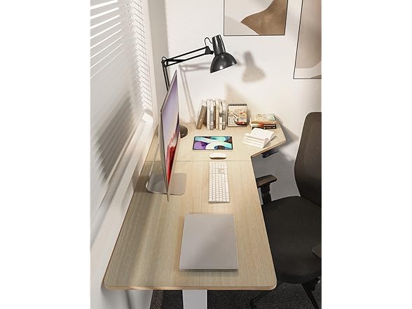 TotnzElectric Standing Desk 55 x 34 inch