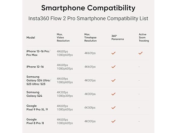 Insta360 Flow 2 Pro (Grey)