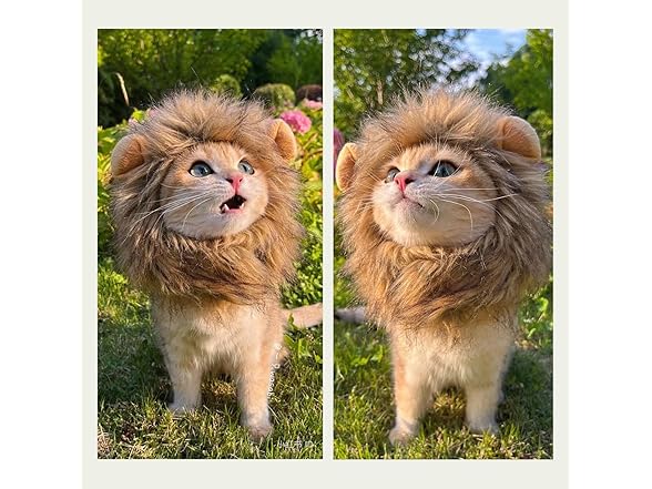 Urnat Lion Mane Cat Wig